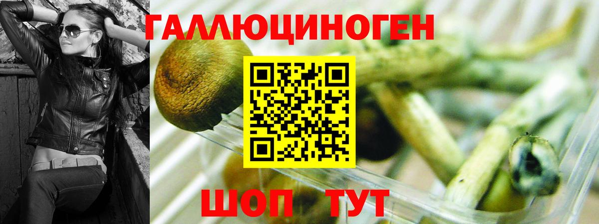 Галлюциногенные грибы GOLDEN TEACHER  наркотики  Кропоткин  Вход с VPN  Псилоцибиновые грибы GOLDEN TEACHER 