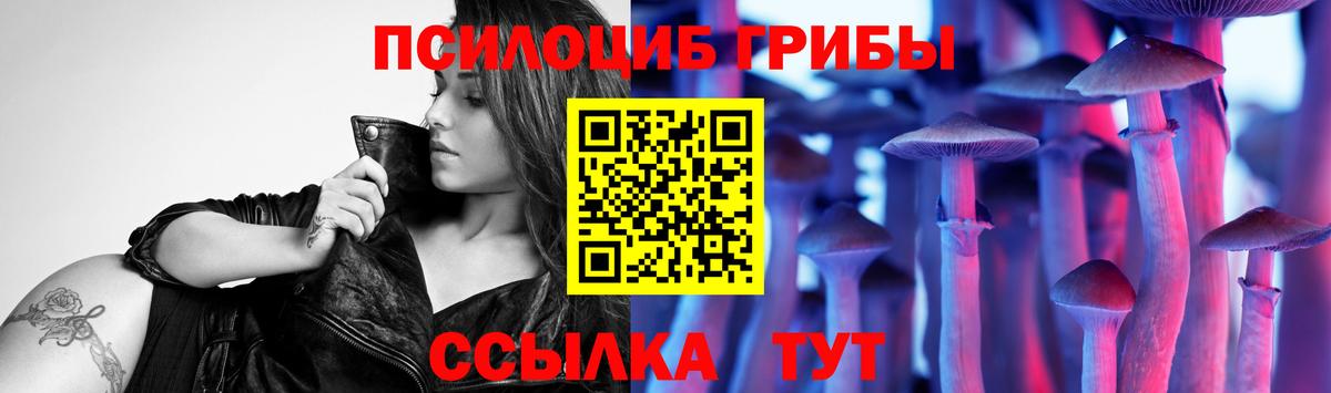 Псилоцибиновые грибы мицелий Кропоткин